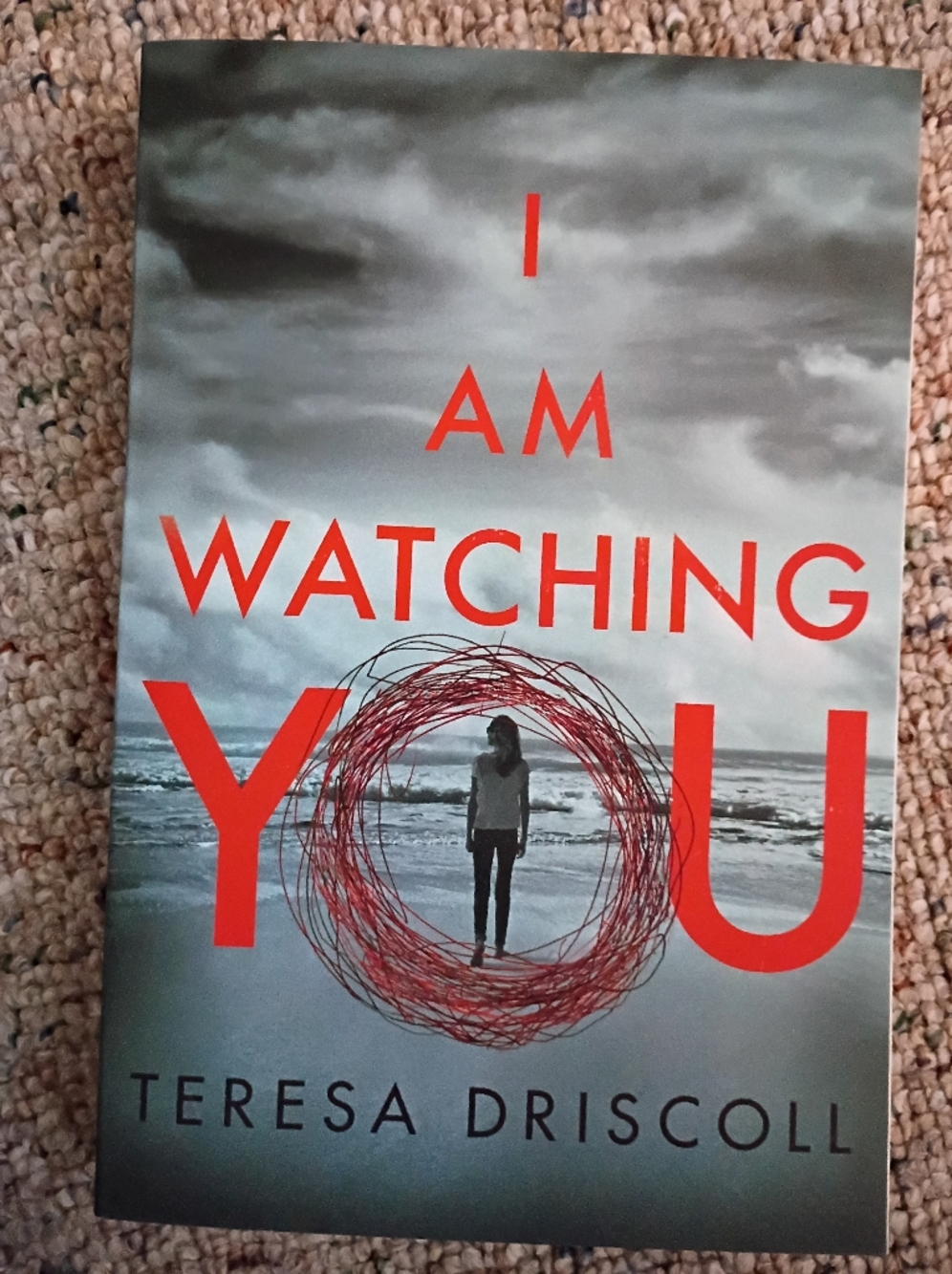 I Am Watching You Paperback Book - Red & Gray Cover